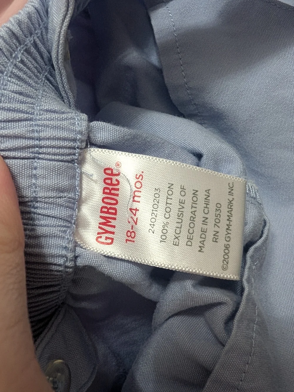 Gymboree blue pair home
