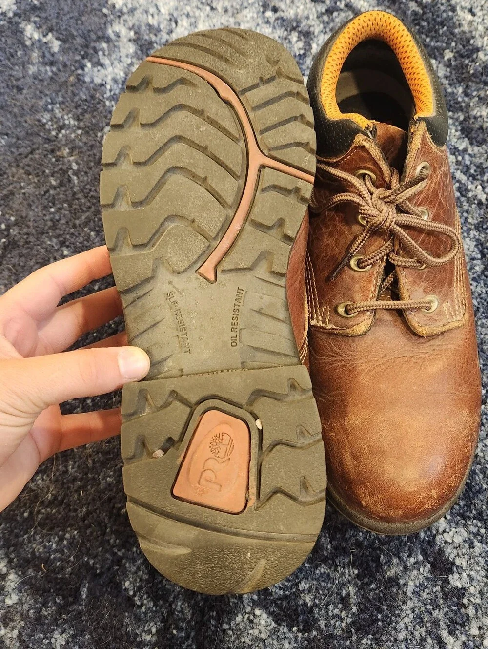 Timberland low cut