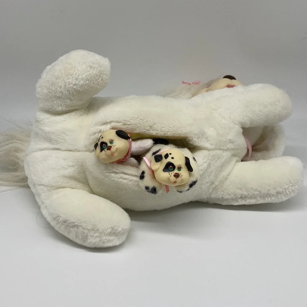 Kaplan puppy suprise