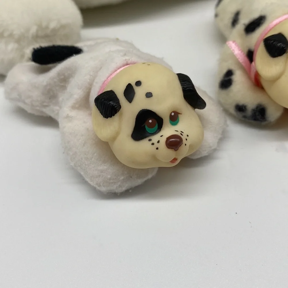 Kaplan puppy suprise