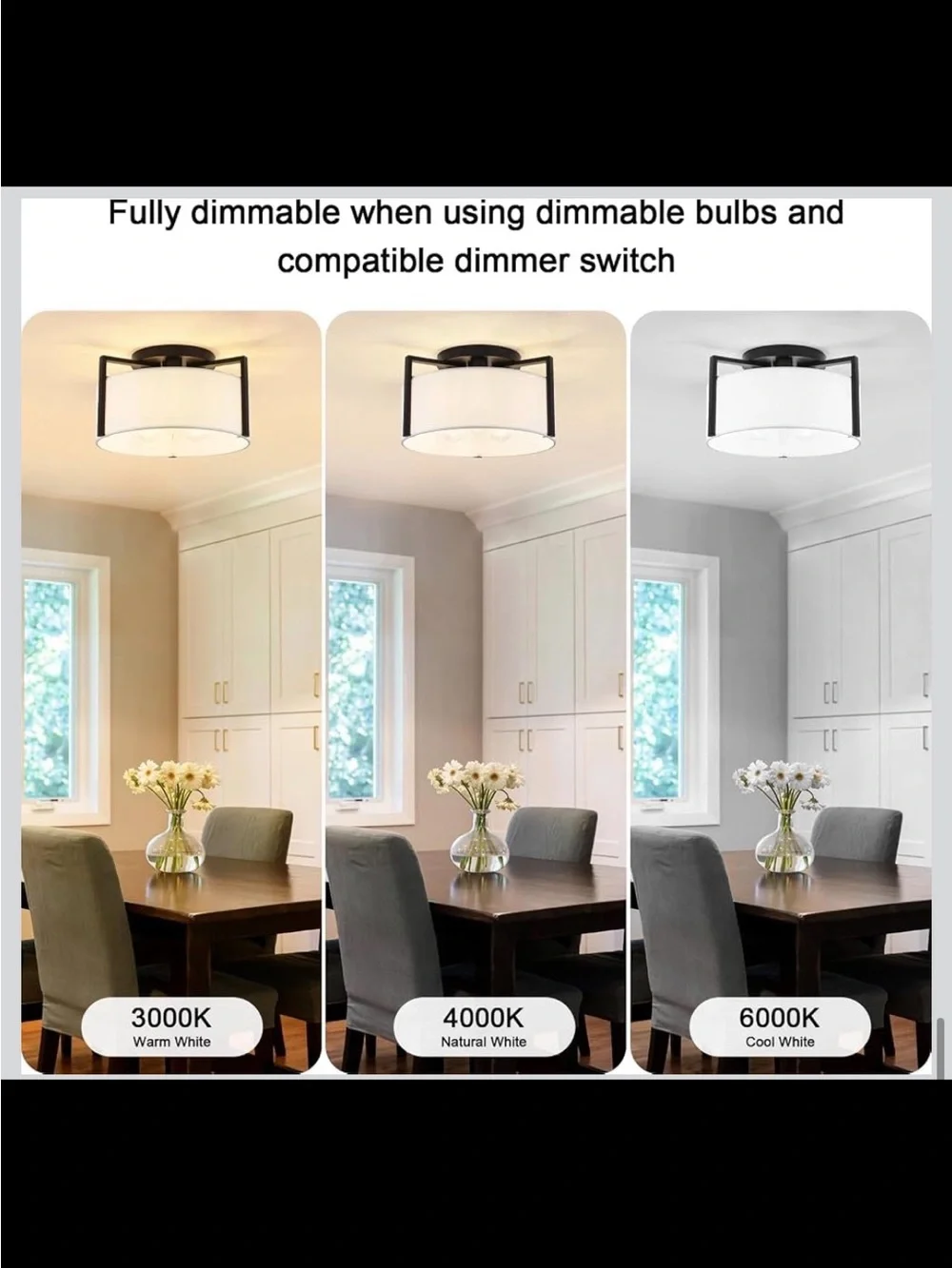 Generies illuminate your