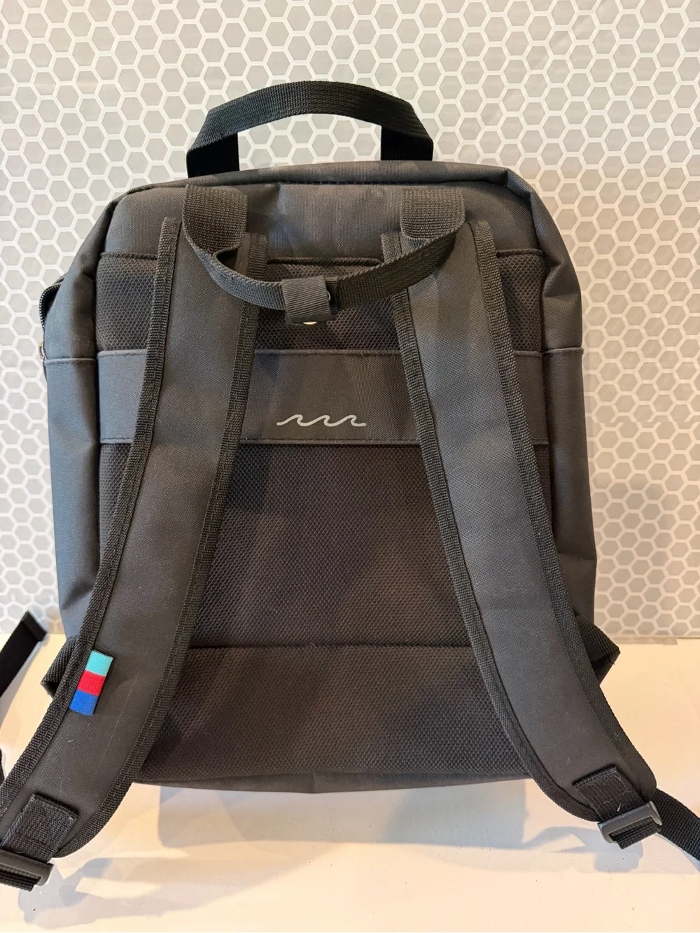 Black Everyday Backpack