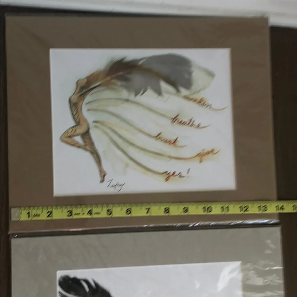 N/A feather fairy