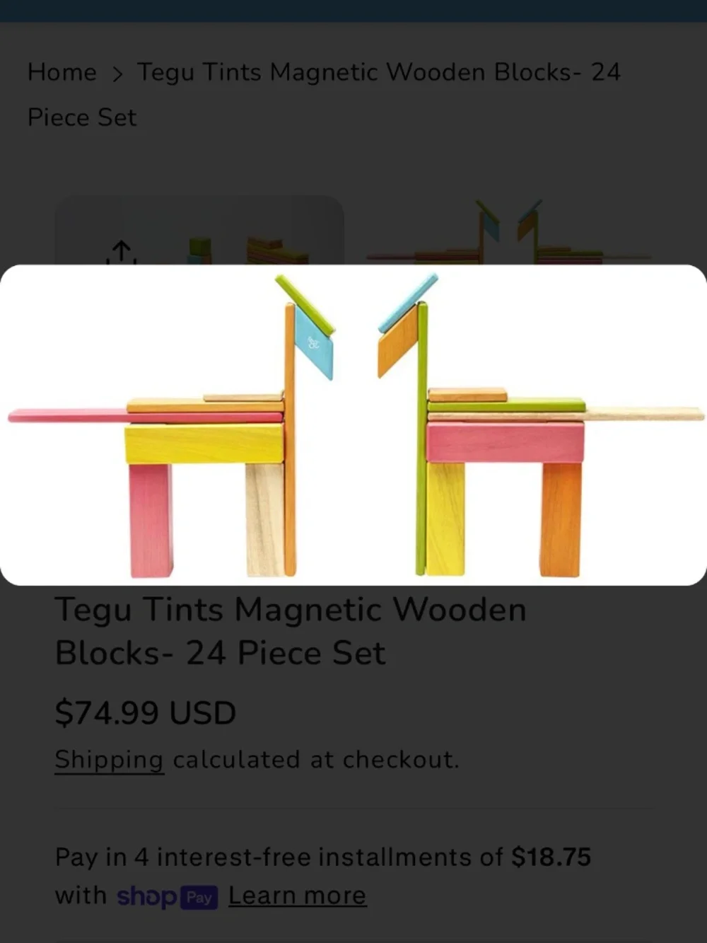 Tegu magnetic wooden