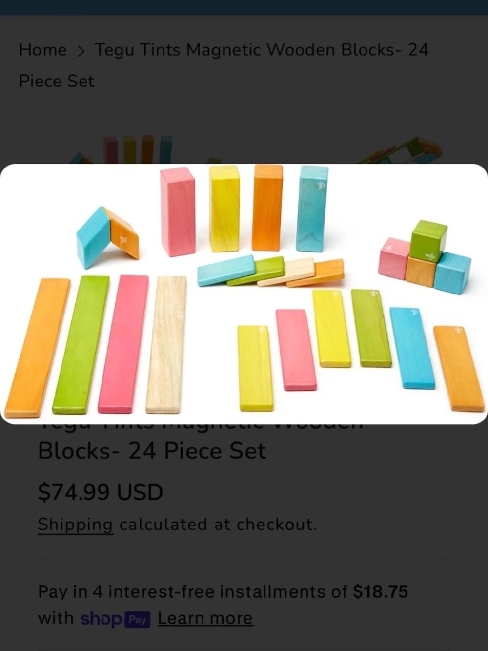 Tegu magnetic wooden