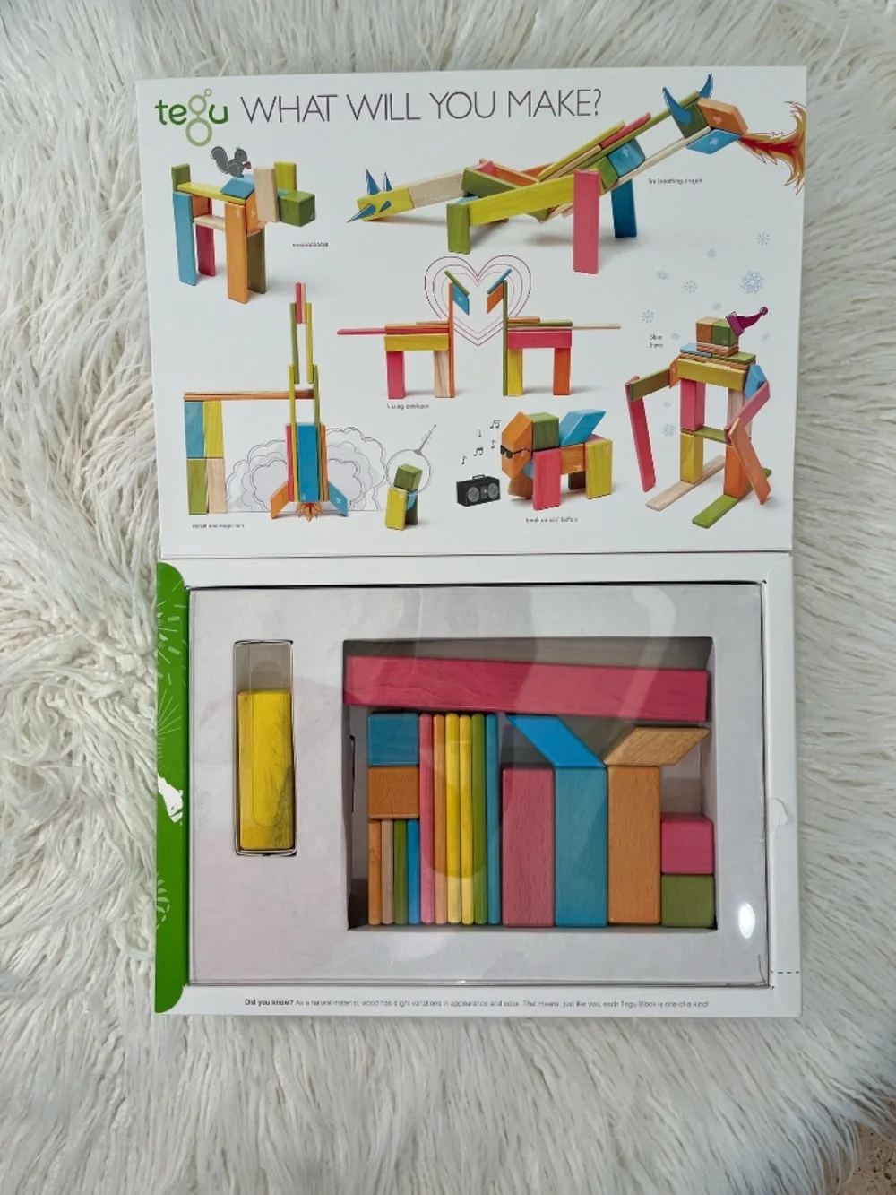 Tegu magnetic wooden