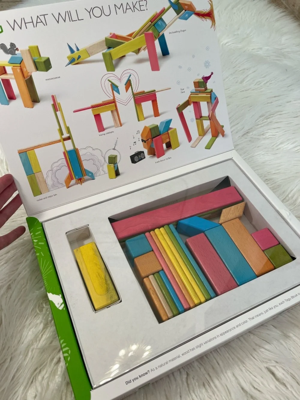 Tegu magnetic wooden