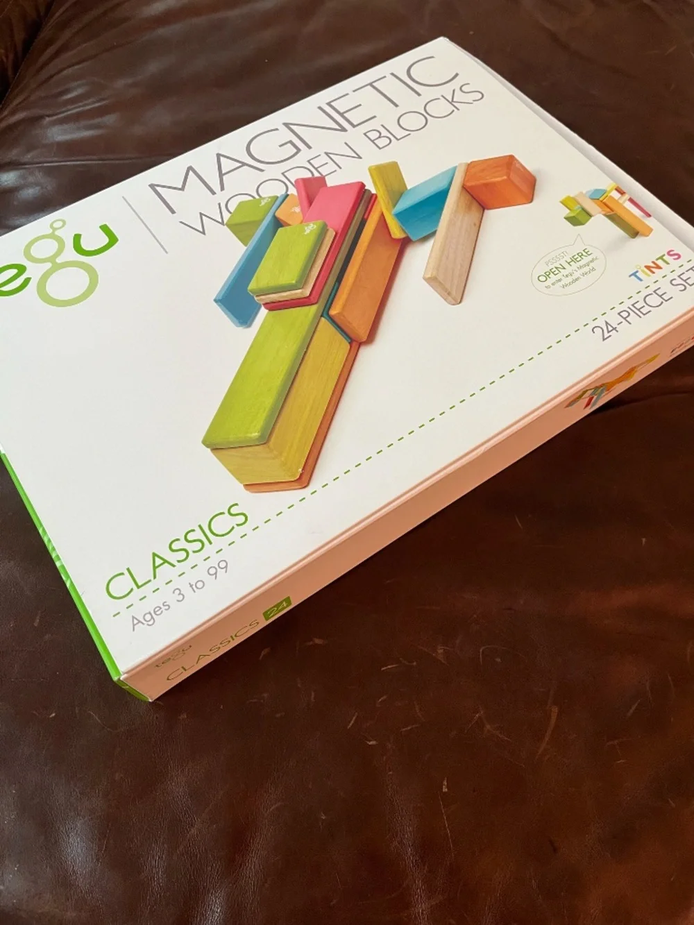 Tegu magnetic wooden