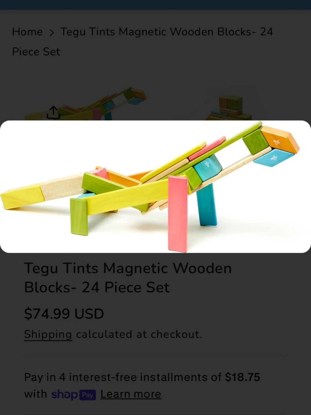 Tegu magnetic wooden