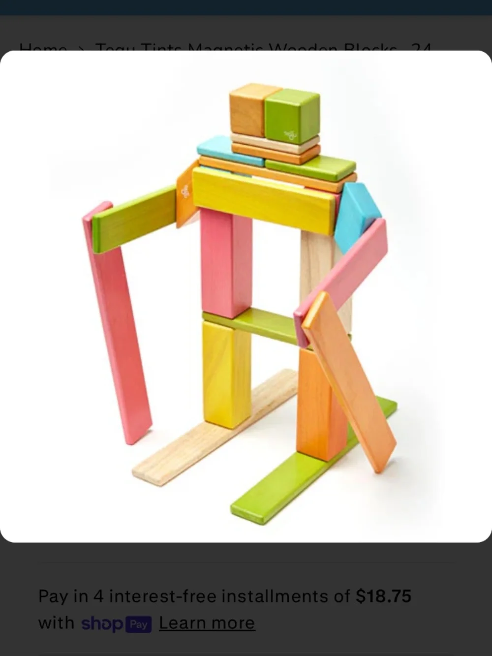 Tegu magnetic wooden