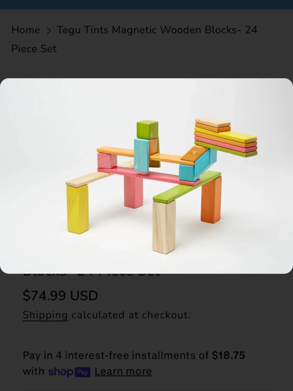 Tegu magnetic wooden