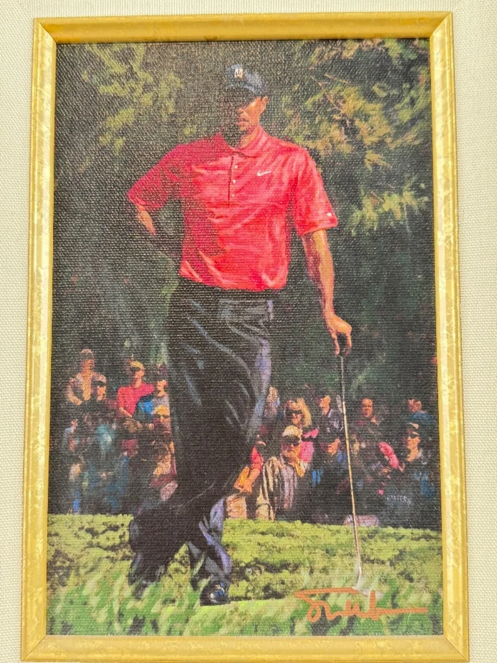 Tiger Woods Collection signed scott