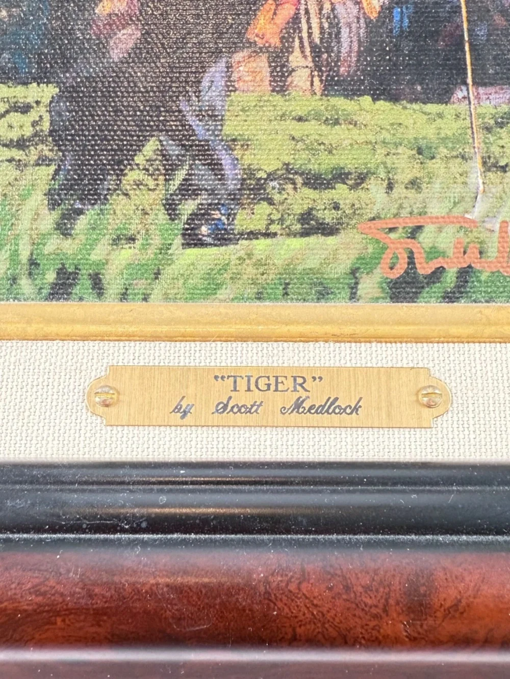 Tiger Woods Collection signed scott