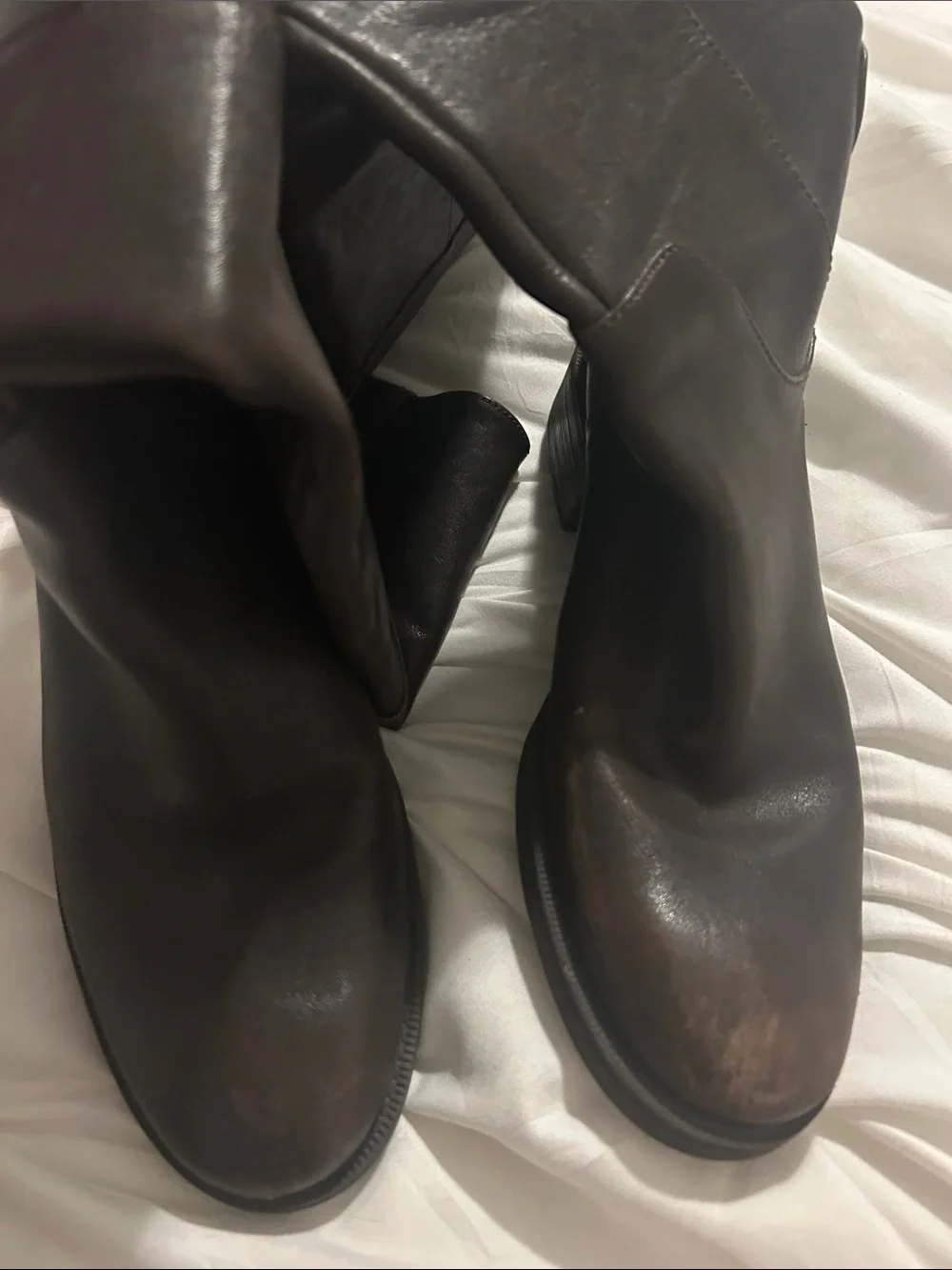 Enzo Angiolini tall dark