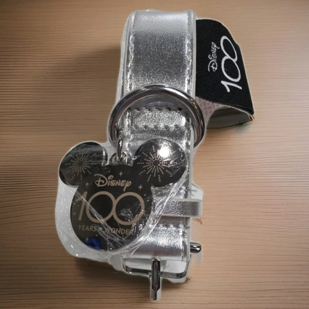 Disney size large
