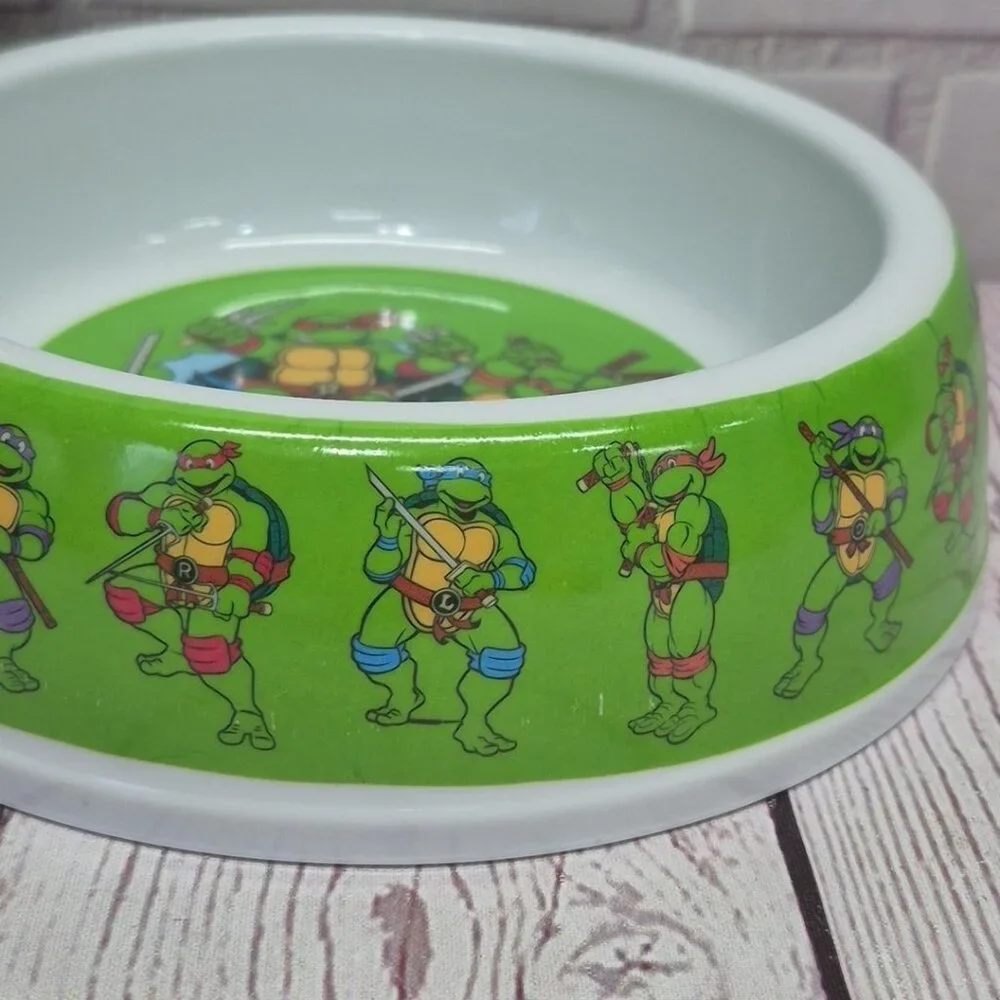 Teenage Mutant Ninja Turtles tmnt teenage