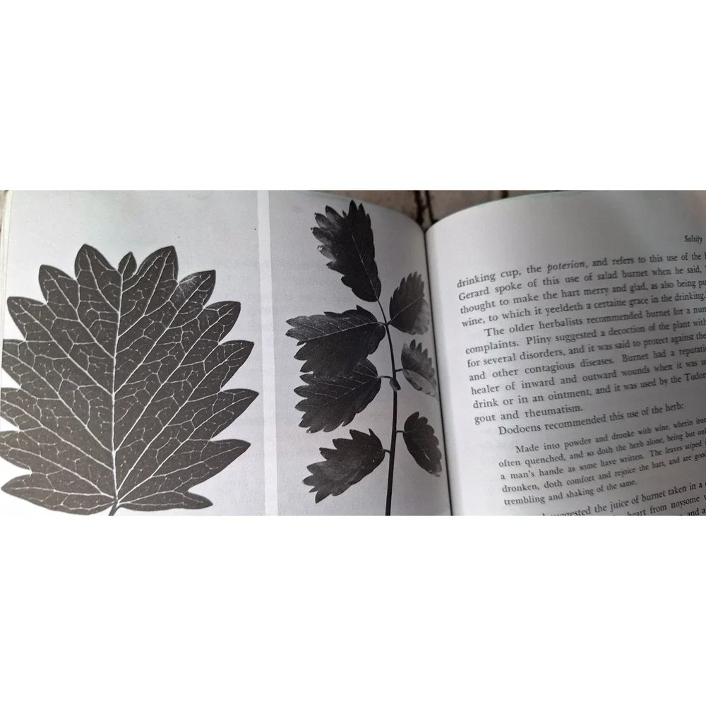 N/A rodale herb