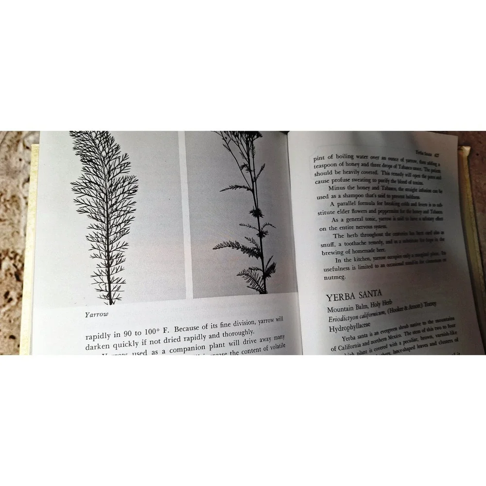 N/A rodale herb