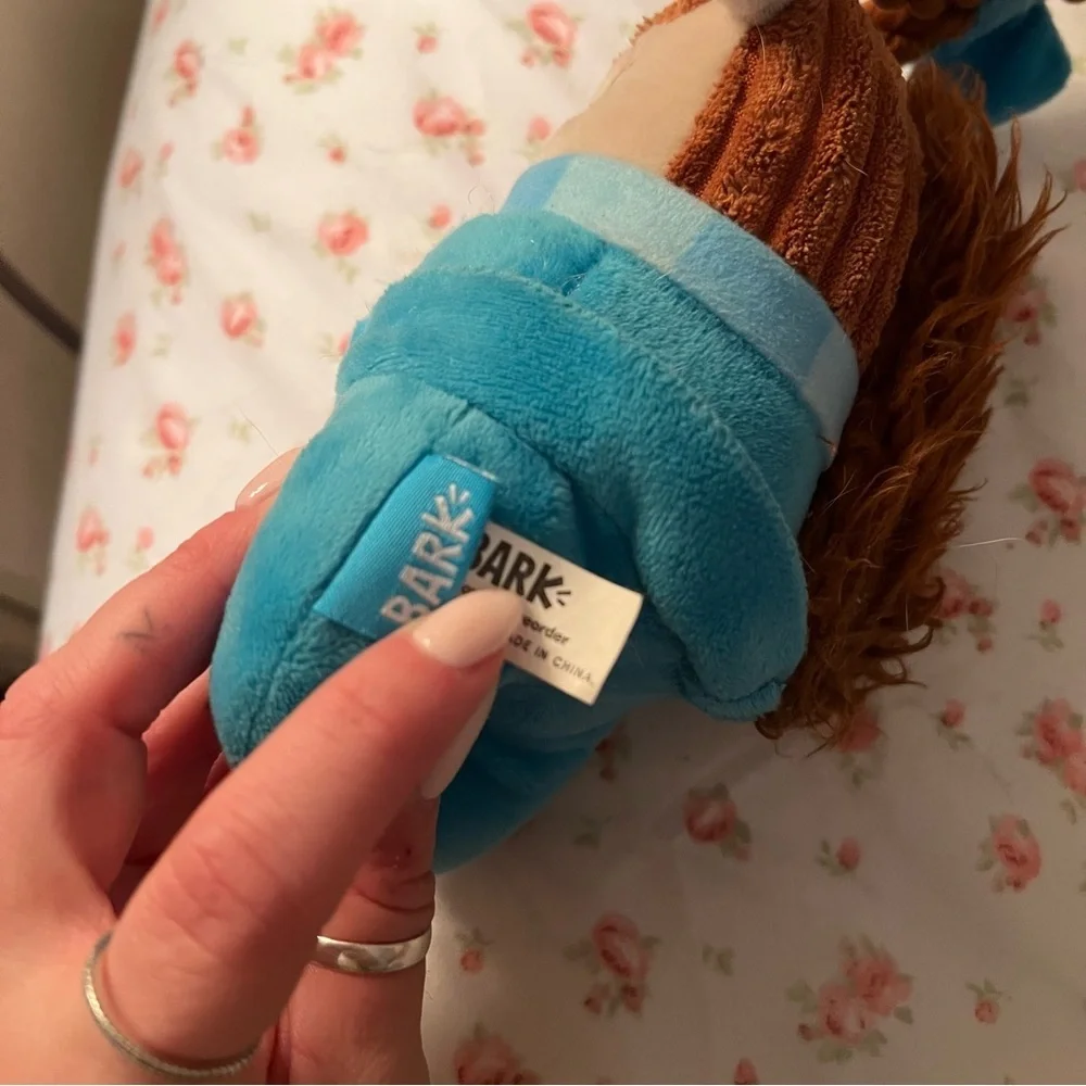 Bark rare barkbox