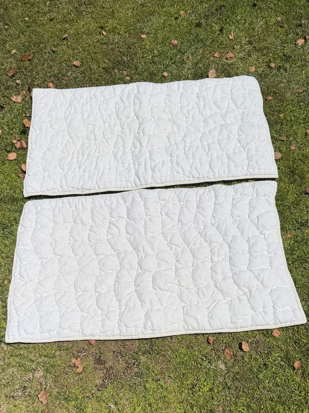 Pottery Barn Cozy Cloud 2-Piece King Sham Set Creamy White Cotton Chenille GUC