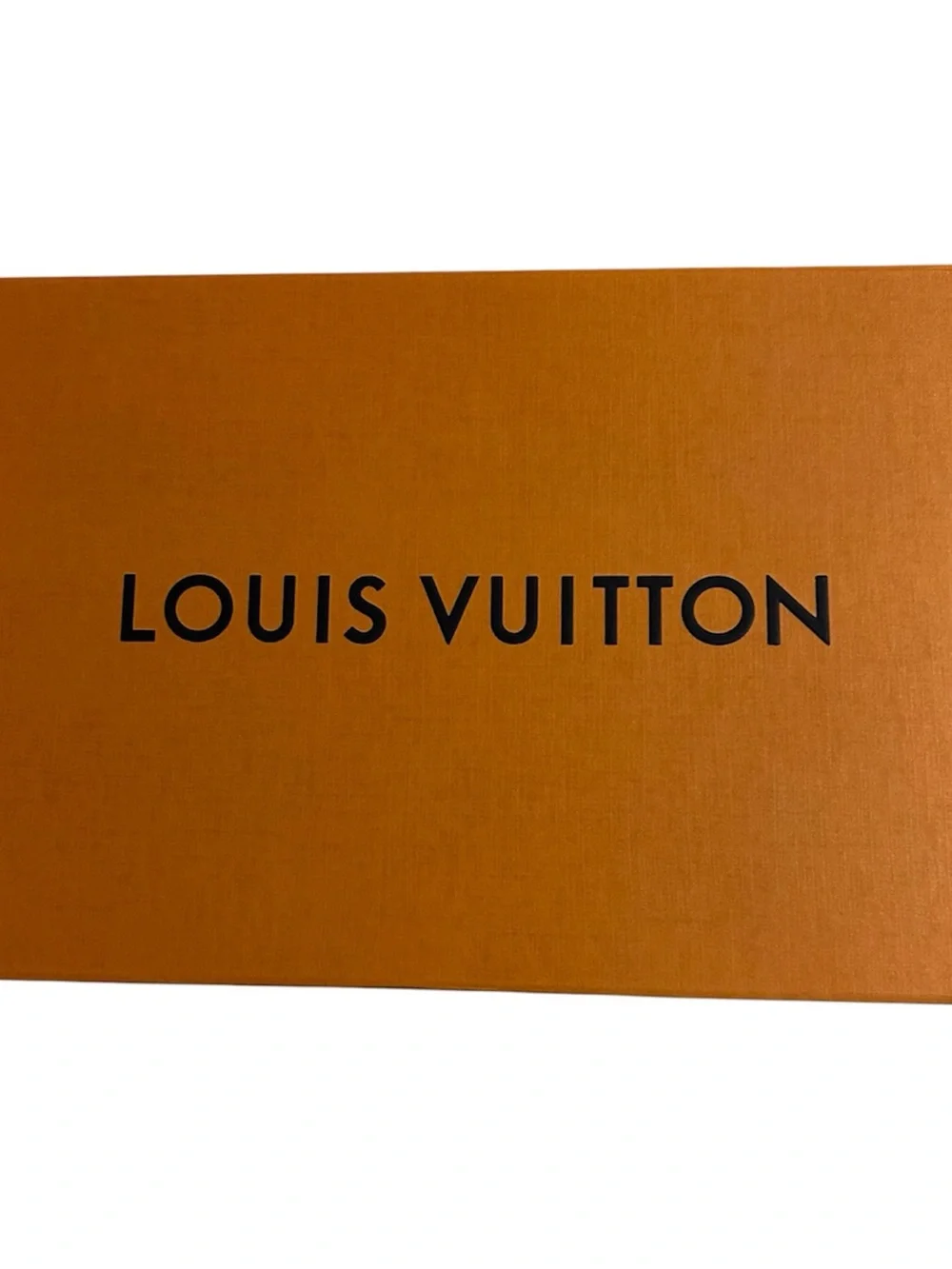 Louis Vuitton authentic louis
