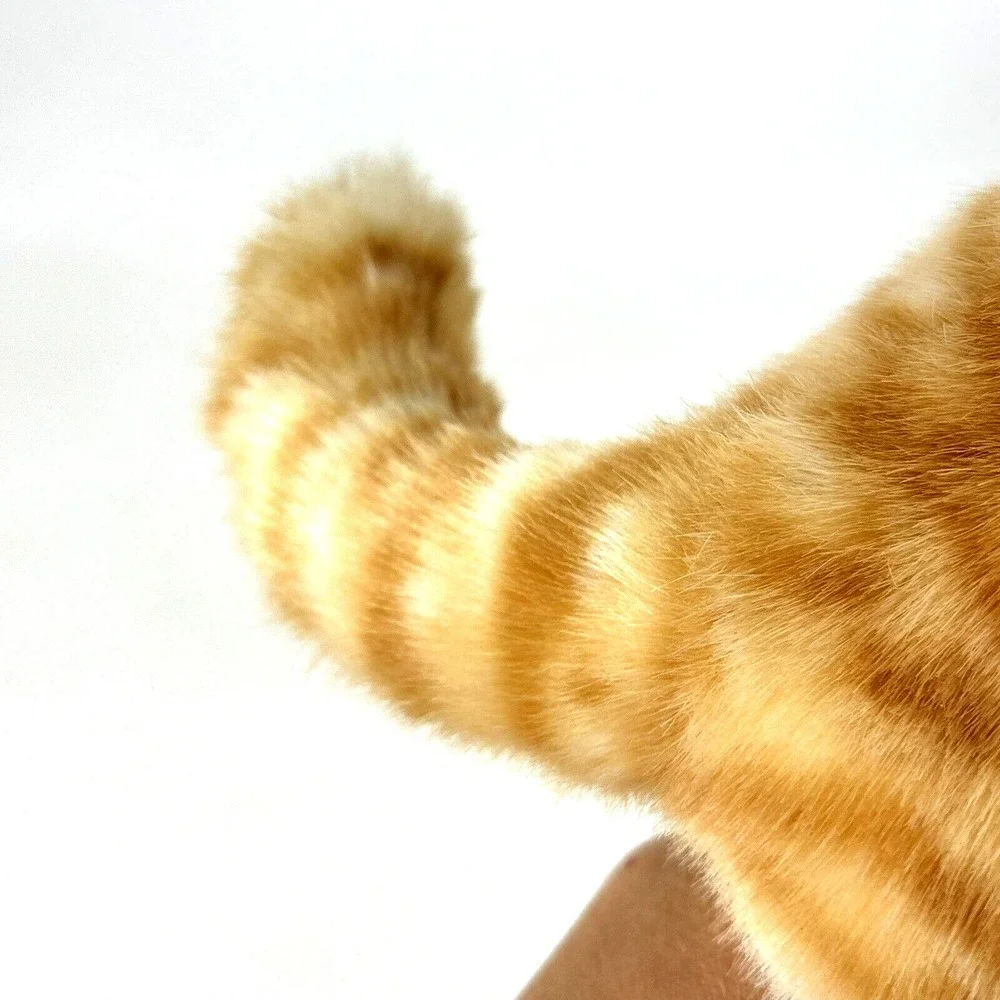 Folkmanis Puppets folkmanis cat