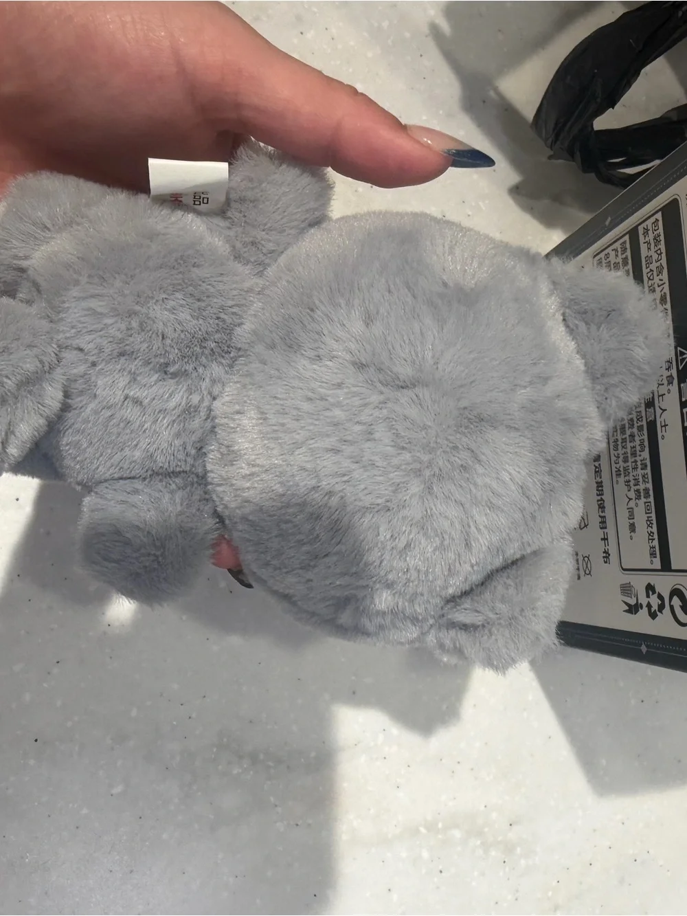 Urban Outfitters compact cat playful