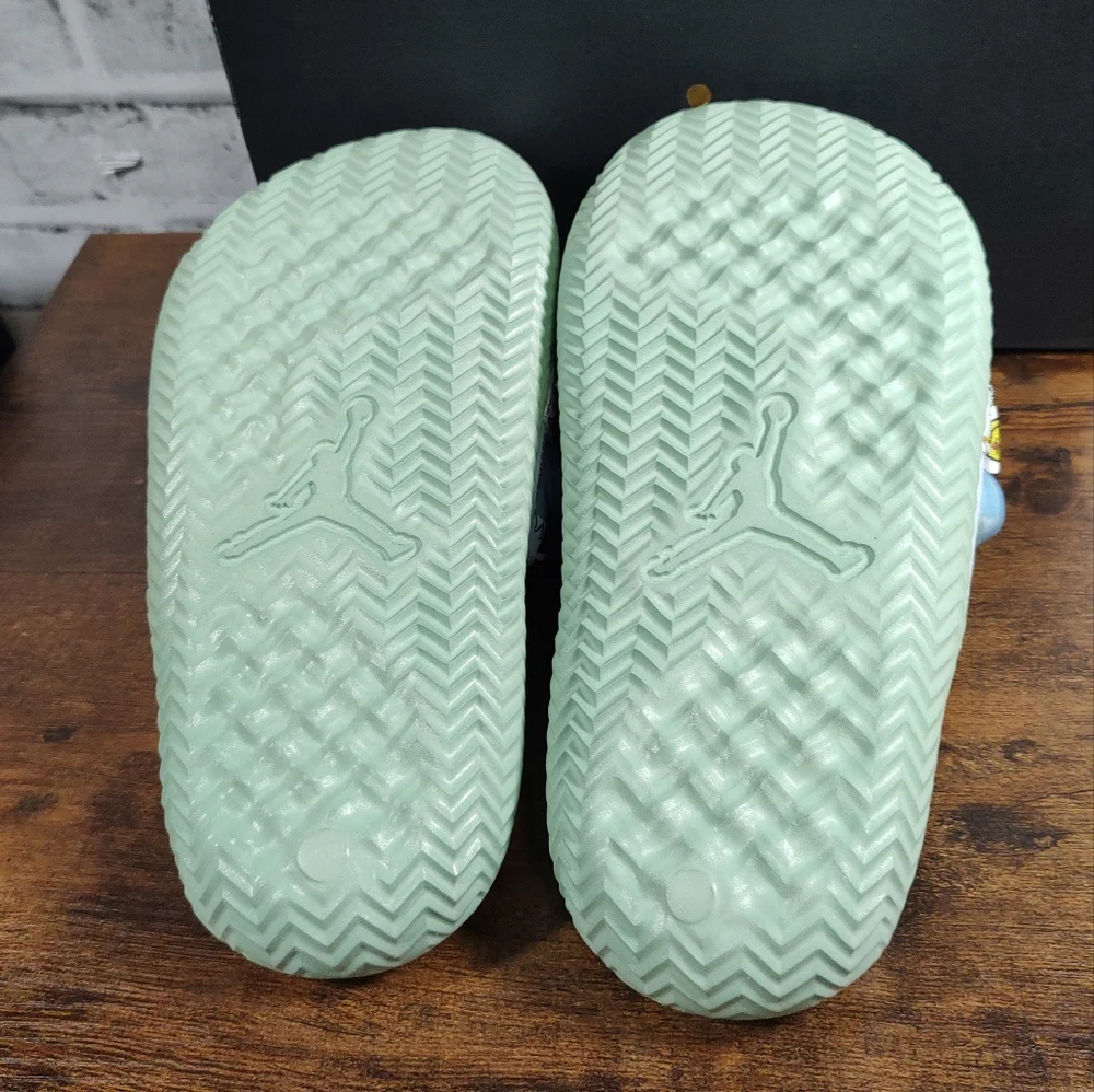 Jordan 100% authentic