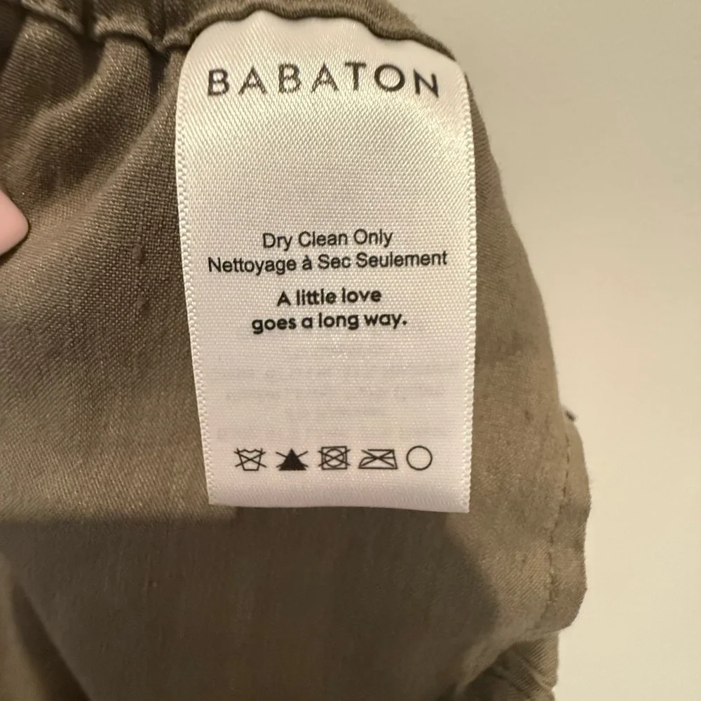 Babaton these pants