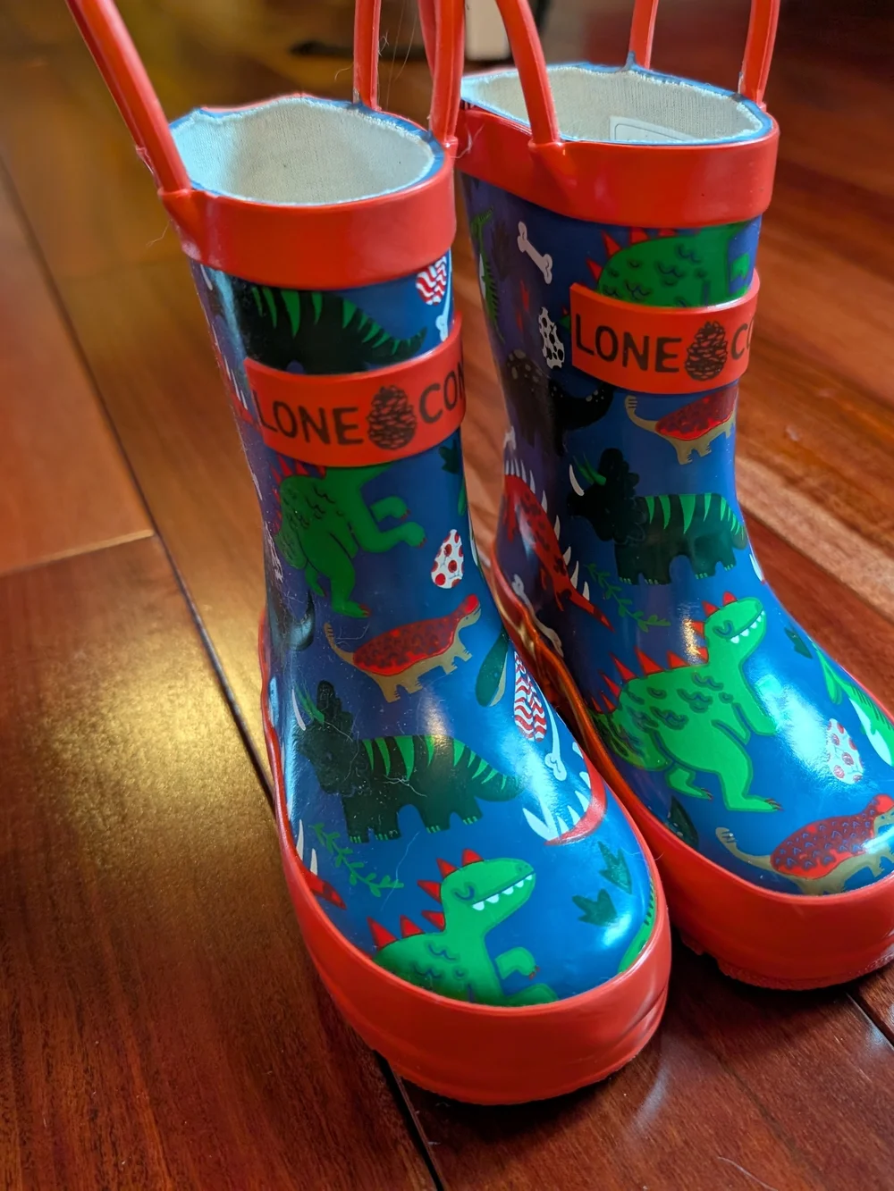 Lone Cone kids rain