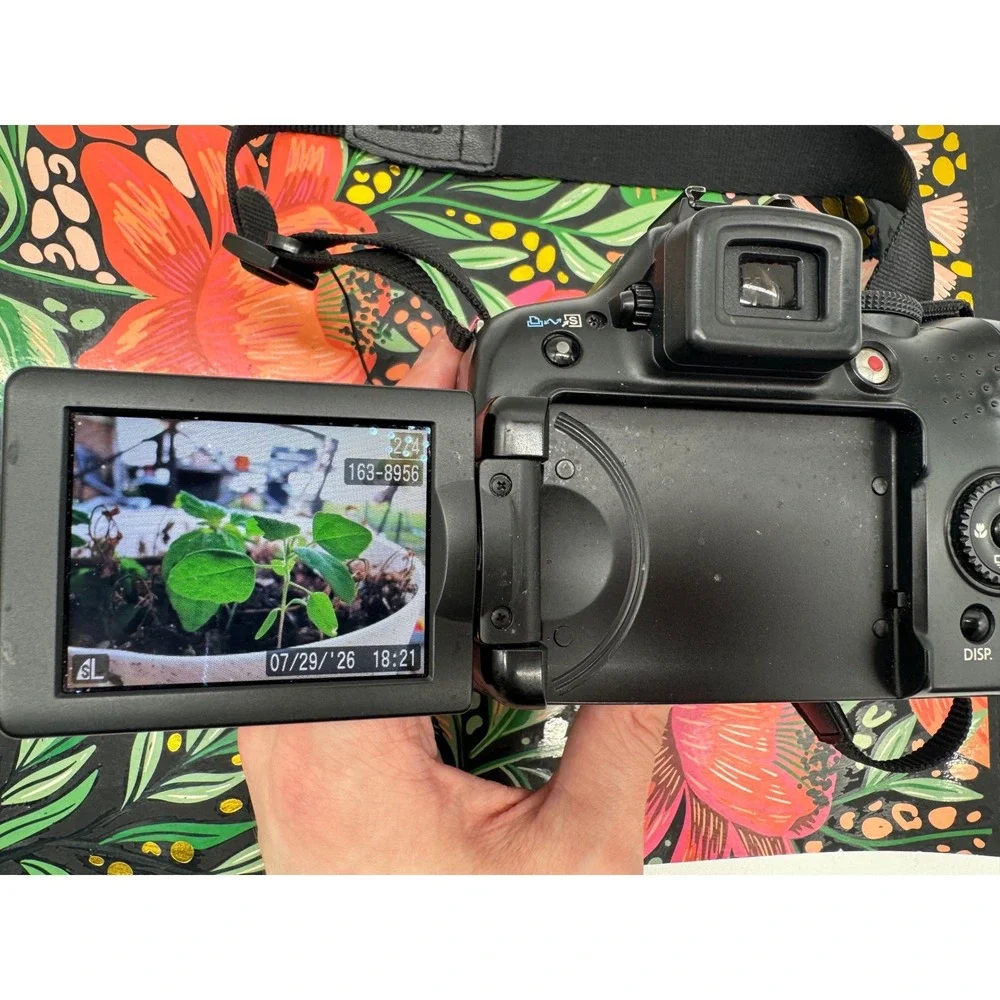 Canon powershot sx10
