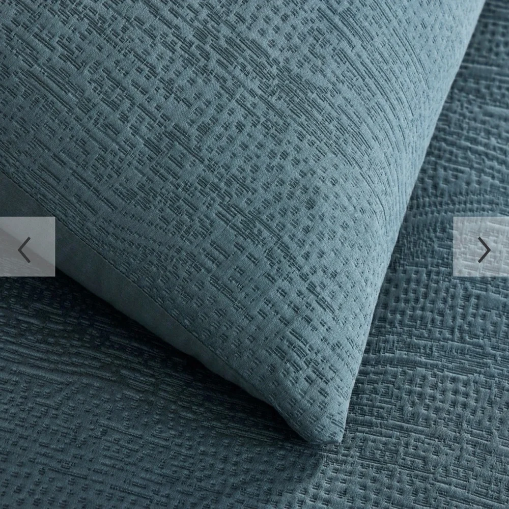 West Elm Blue TENCEL Shams Euro Set
