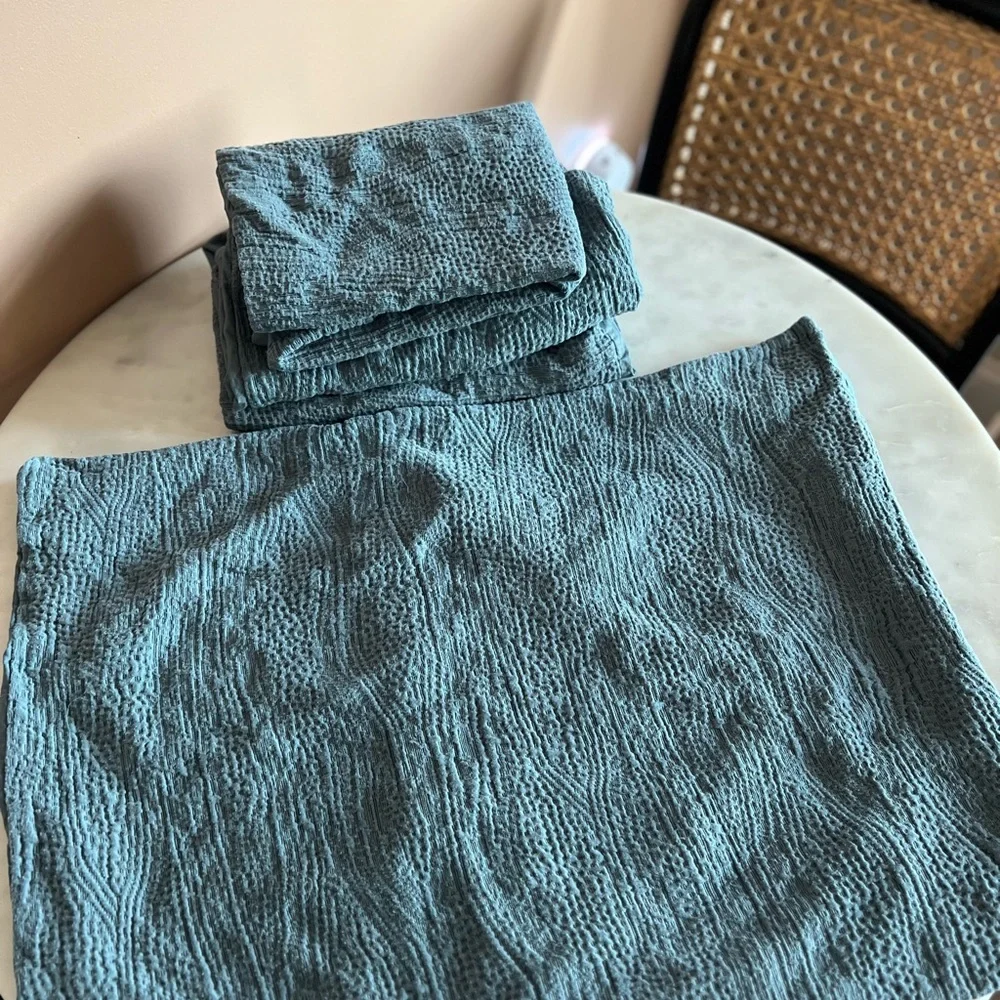 West Elm Blue TENCEL Shams Euro Set