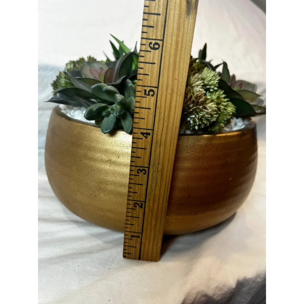 Unbranded gold modern diverse