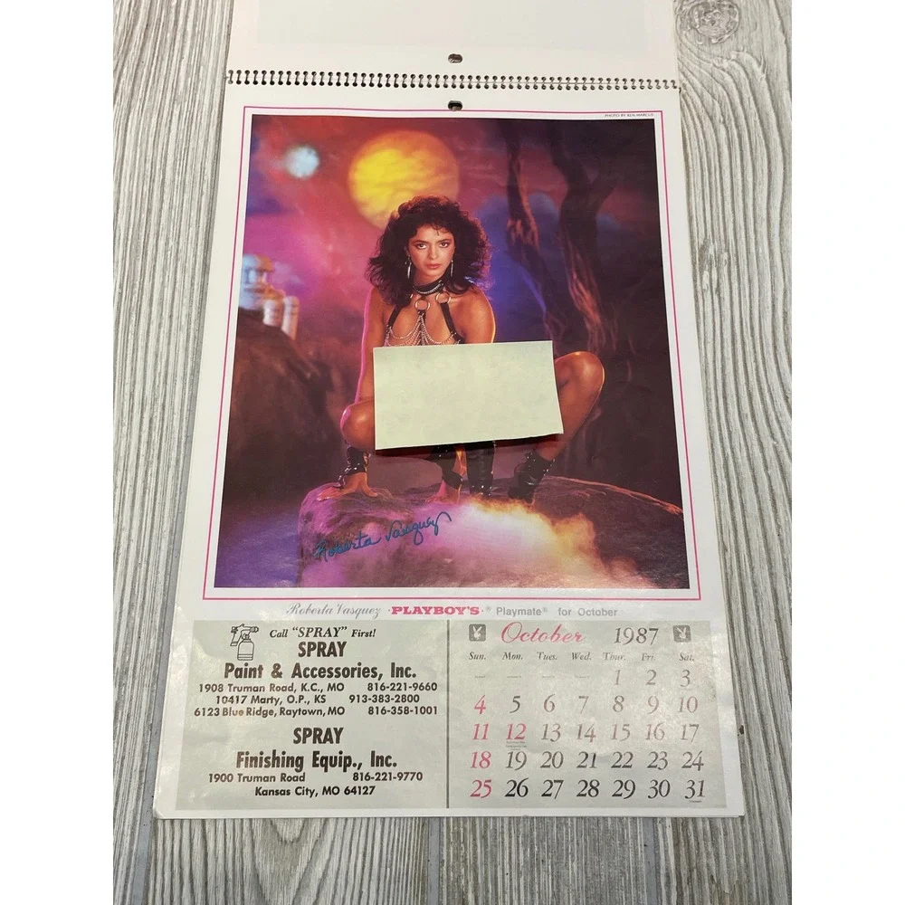 PLAYBOY colors debi grid
