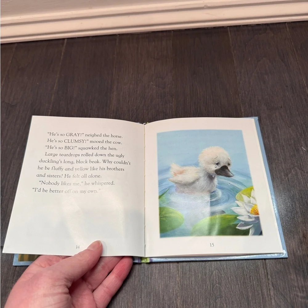 Storyteller book shown