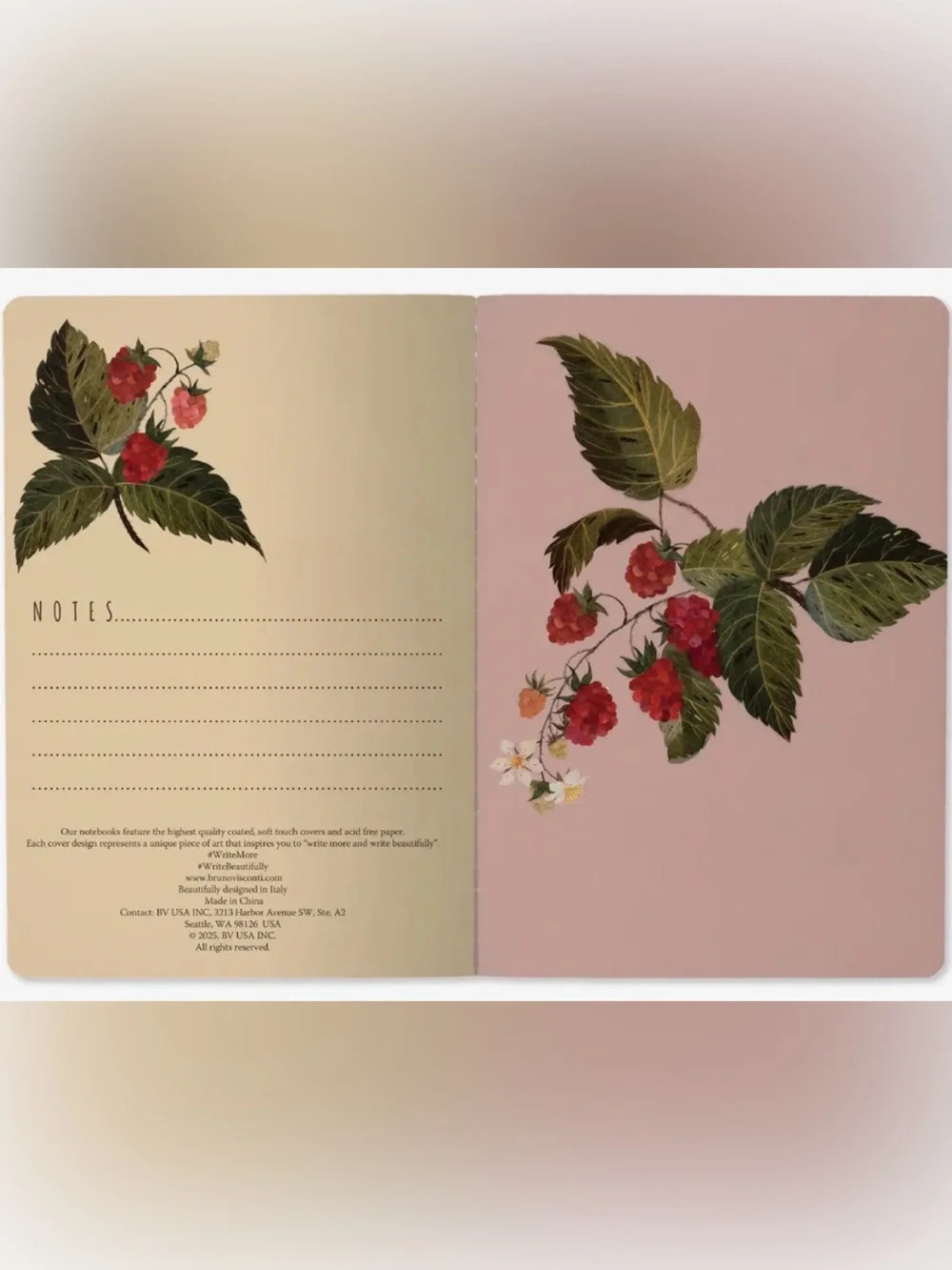BV by Bruno Visconti these notebooks