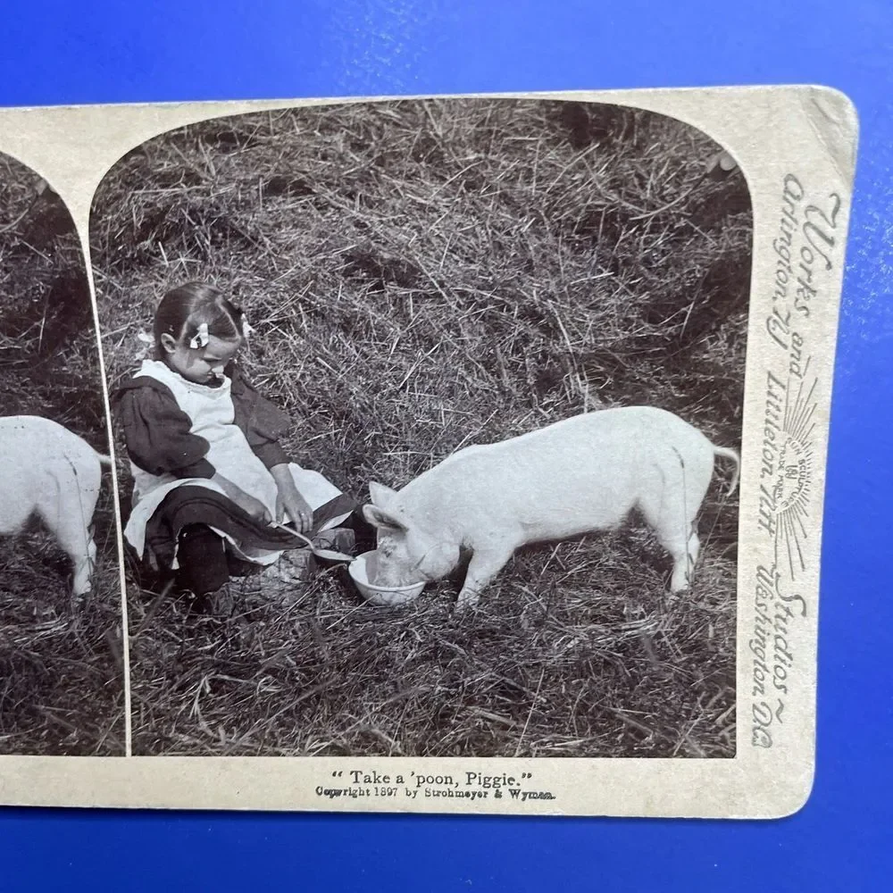 Antique Stereoview Card Underwood & Underwood Take a Poon Piggie Girl Feed Pig‎