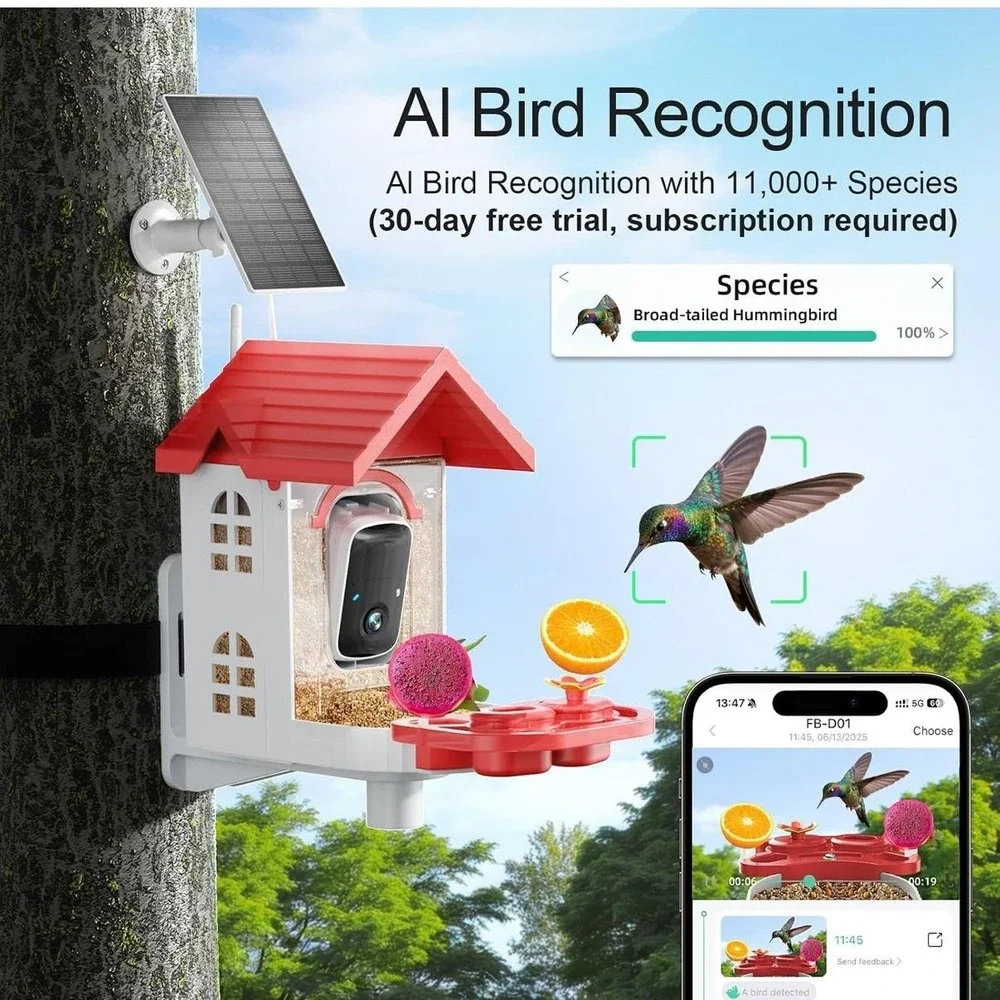 N/A smart bird
