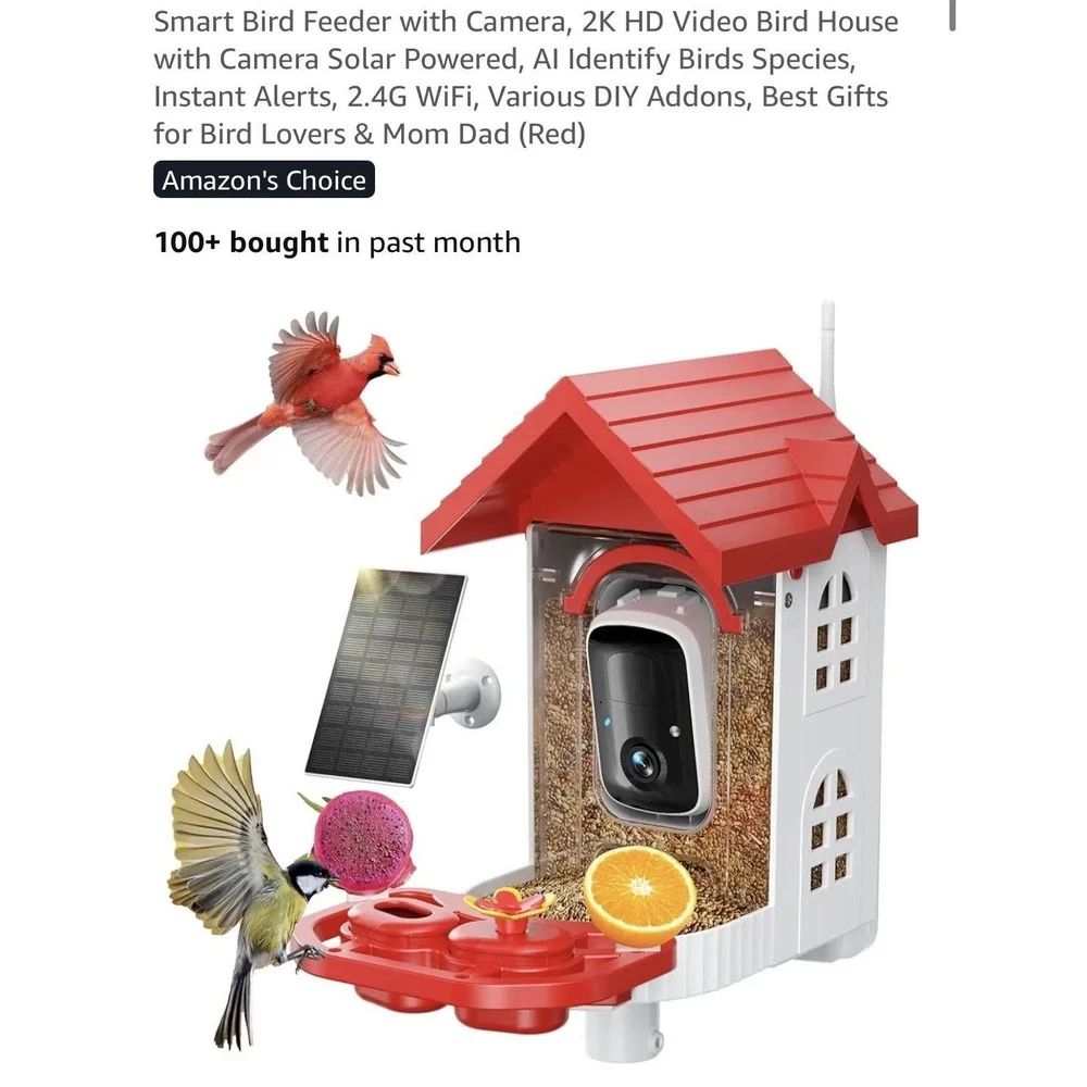N/A smart bird