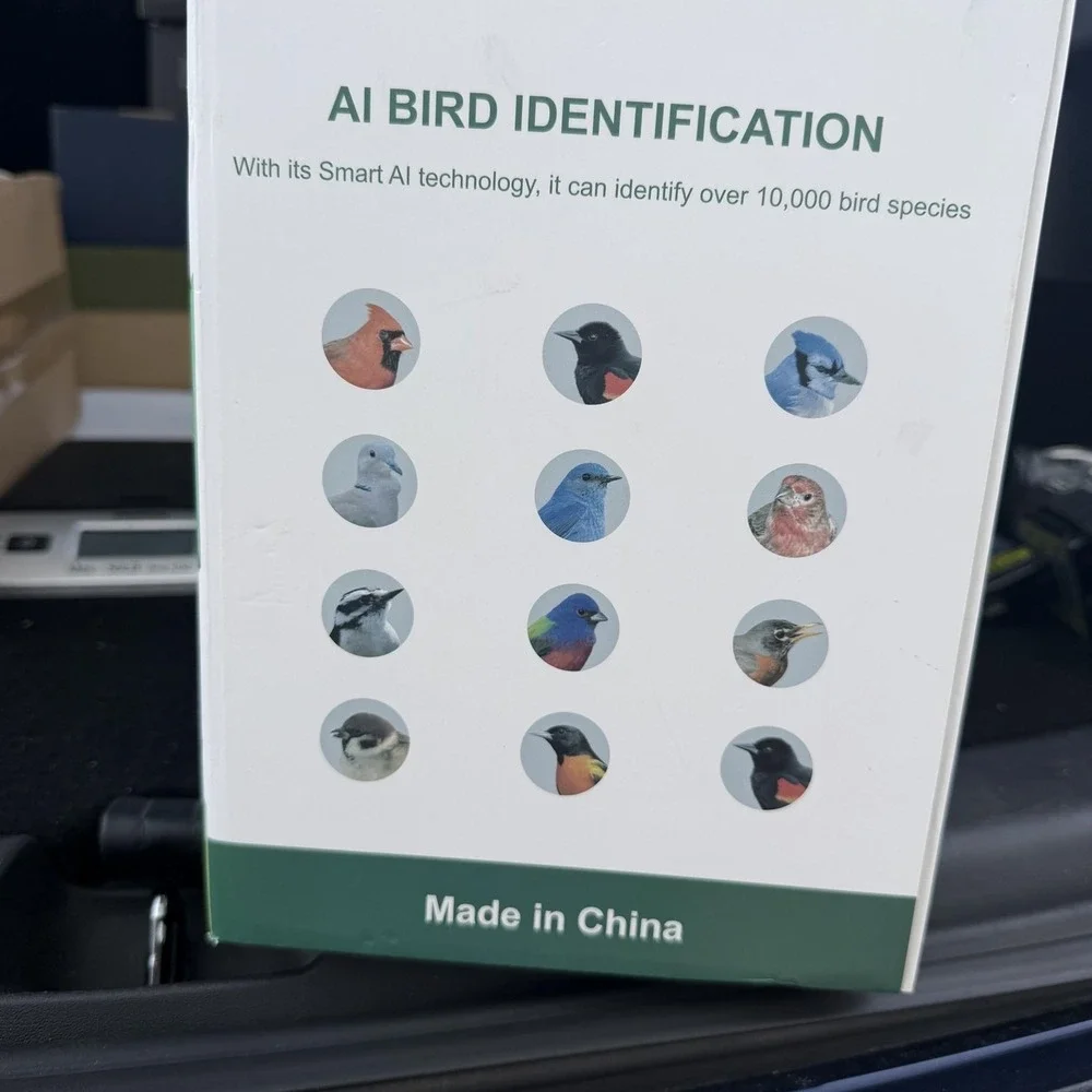 N/A smart bird