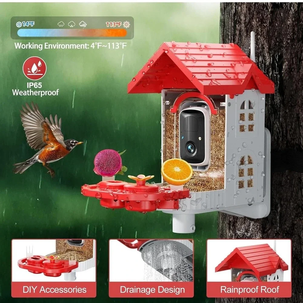 N/A smart bird
