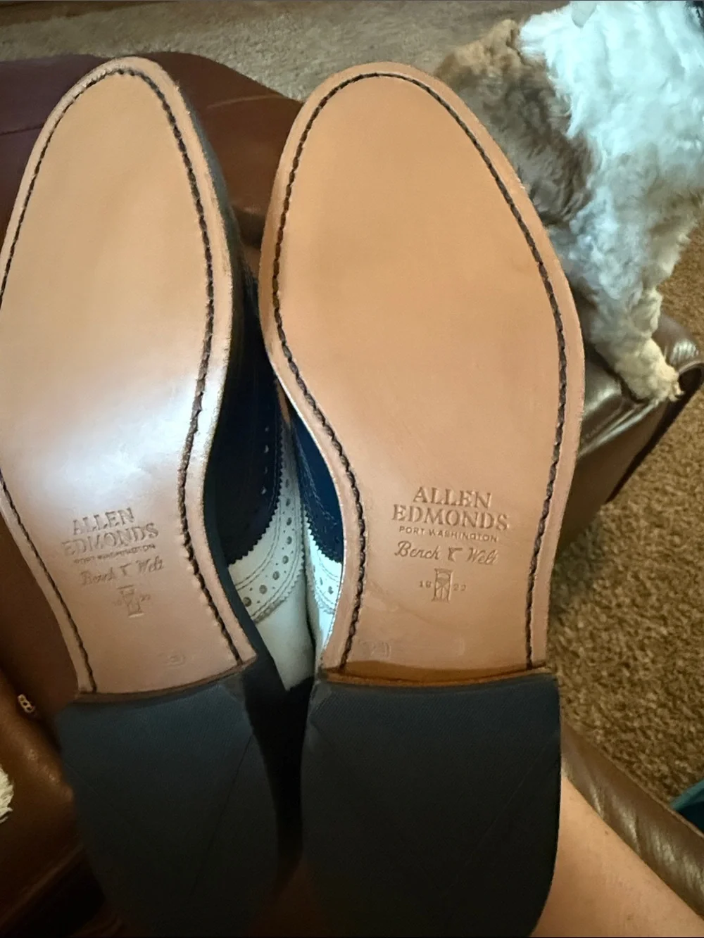 Allen Edmonds classic wingtip