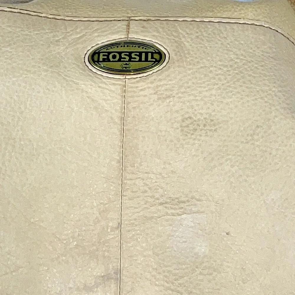 Fossil interior base