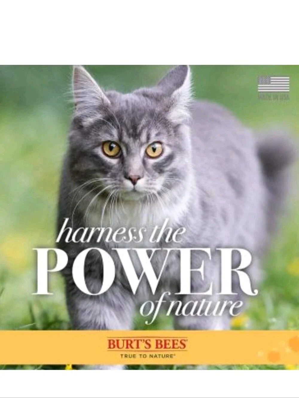 Burts Bees *new* burt