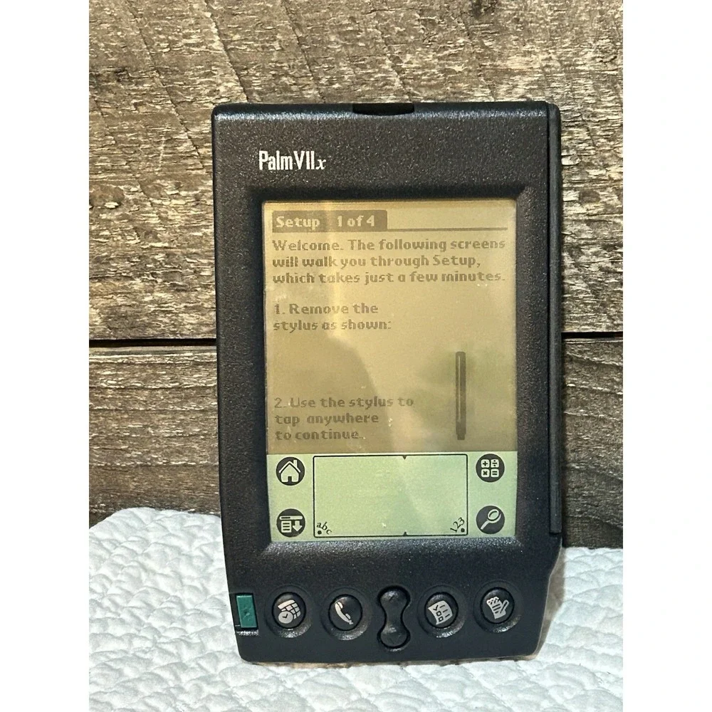 Palmetto’S vintage palm