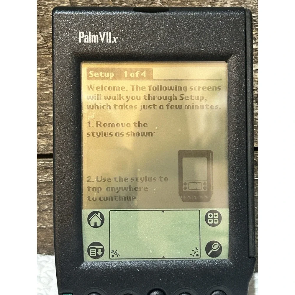 Palmetto’S vintage palm