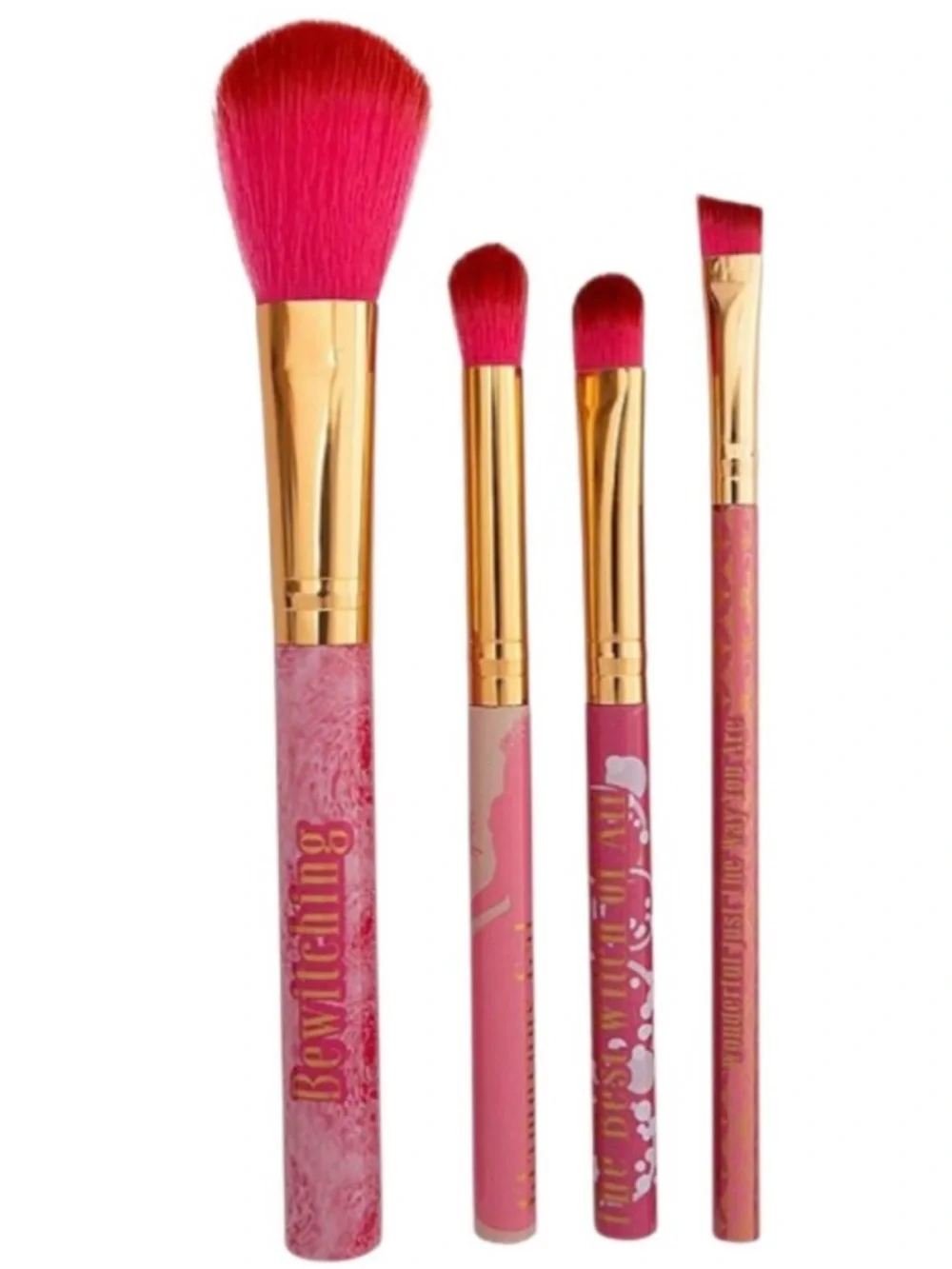 Wicked 4-pc. Cosmetic Brush Set  (NWT)