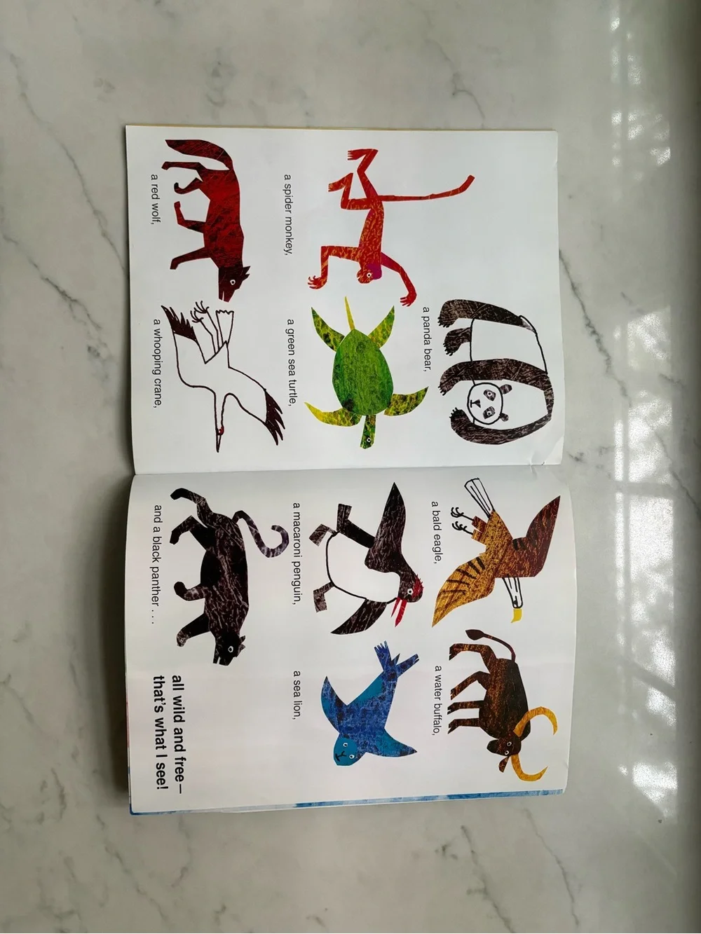 Eric Carle eric carle