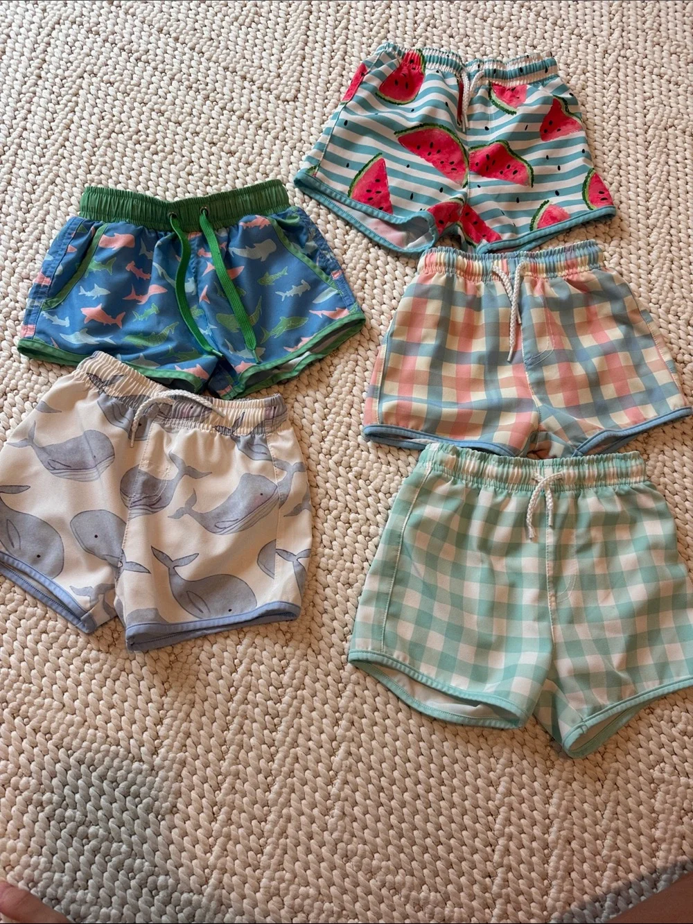 Boys Swim 2t 3t bundle